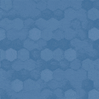 Happy Womens Soccer GIF by Houston Dash