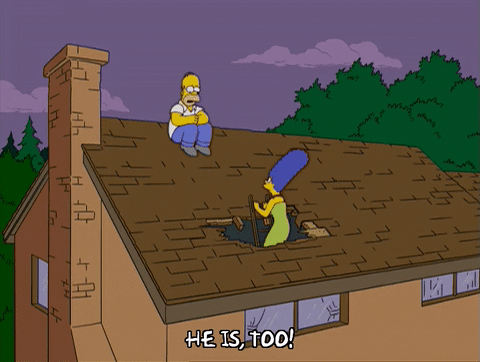 homer simpson GIF