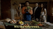Utkarsh Ambudkar Ghosts GIF by CBS