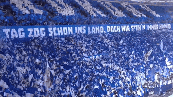 Football Soccer GIF by FC Schalke 04
