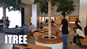 NordicWire guillem nordicwire itree GIF