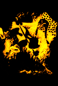 Schellenberghexen hot fire jump fasnet GIF