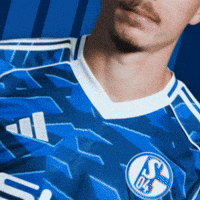 Football Soccer GIF by FC Schalke 04