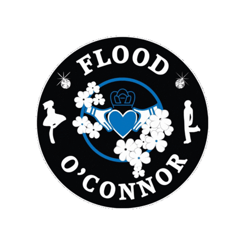 Champions Irish Sticker by Ashling Daly