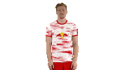 Football Idk Sticker by RB Leipzig