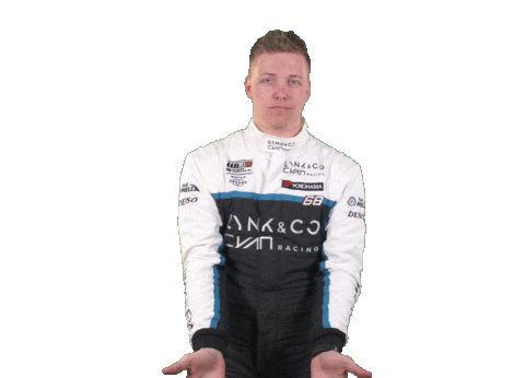 celebration car Sticker by FIA WTCR