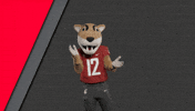 Washington State Go Cougs GIF by WSU Pullman