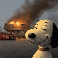 aiandchill blankonblank dumasmedia blankonblankmeme dumasmeme GIF