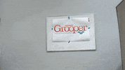 grooper grooper grooper it just grooper it GIF