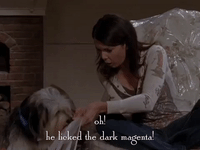 season 6 netflix GIF by Gilmore Girls 