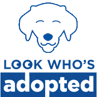 Cat Dog Sticker by Hill's Pet Nutrition