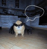 Dog Halloween GIF
