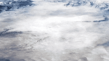 Halo 5 GIF by Xbox