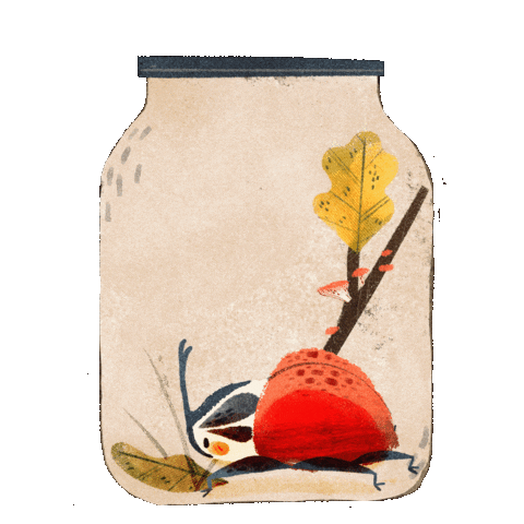 Bug Insect Sticker by rileyalwayssmiley