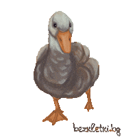 Goose Sticker by Невидими Животни