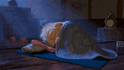the angry birds movie bird GIF by Angry Birds