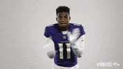 Celebrate Charm City GIF by Baltimore Ravens