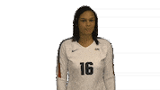 Cnvb21 Sticker by Carson-Newman Athletics