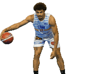 Basket Ismael Sticker by ERVB