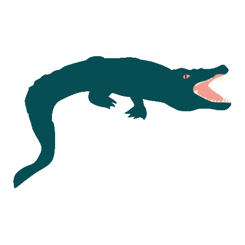 inthedeep giphyupload australia crocodile straya Sticker