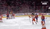 Happy Anaheim Ducks GIF by NHL
