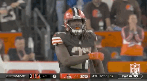 Cleveland Browns Football GIF by NFL