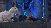 jack griffo GIF by Nickelodeon