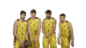 Liga Endesa Basketball Sticker by ACB
