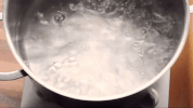 chinese food zhong guo cai GIF
