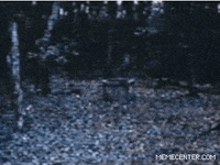 the ring GIF