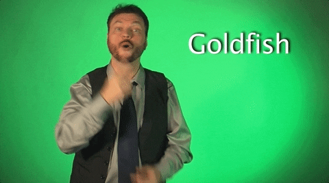 sign language goldfish GIF by Sign with Robert