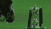 RolexGrandSlam kiss horse trophy grand slam GIF
