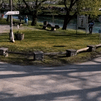 Sport Driving GIF by Red Bull
