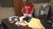 epchihuahuas baseball chihuahua mascots chico GIF