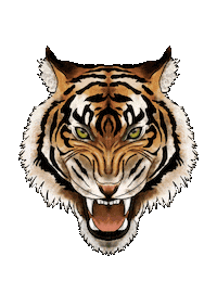 Eyes Tiger Sticker by PinnedbyK