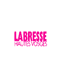 Rose Ski Sticker by LaBresse