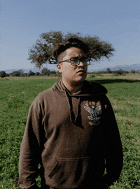 3D Mexico GIF