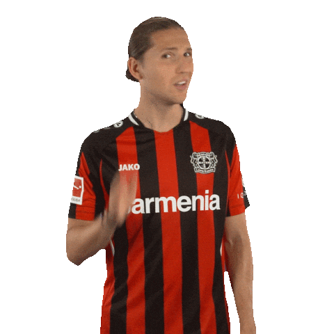 Werkself What Sticker by Bayer 04 Leverkusen