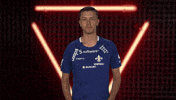 Sv Darmstadt 98 Cheering GIF by Bundesliga