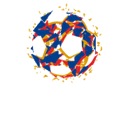 Futebol Paulista Paulistao Sticker by Federação Paulista de Futebol