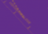 DTCChile perro dtc superperro dogtrainingclub GIF