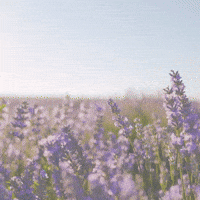 Eternal Life Love GIF