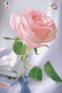 Feliz Fiesta GIF by Murcianys LLC