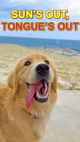 gif image