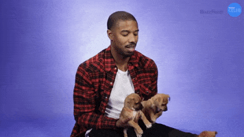 Michael B Jordan GIF by BuzzFeed