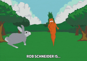bunny GIF by South Park 