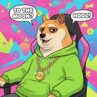 Shiba Inu Crypto GIF by Doge Pound