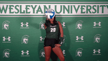 Iwuwvb24 GIF by iwusports