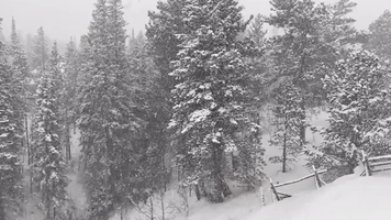 Colorado Town Turned Into Winter Wonderland as Band of Heavy Snow Passes Through