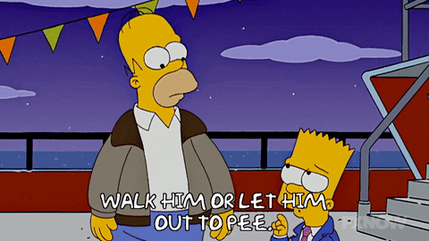 Episode 9 GIF by The Simpsons